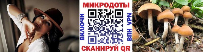 Псилоцибиновые грибы GOLDEN TEACHER  Купить закладки  Коммунар 